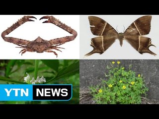 생물이 곧 재산...한국 생물 곳간엔 4만7천 종 산다 / YTN (Yes! Top News)