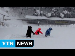 울릉도 사흘째 눈 폭탄...적설량 101cm / YTN (Yes! Top News)