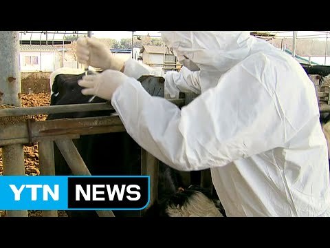 구멍 뚫린 '공수의사 제도'...개선 시급 / YTN (Yes! Top News)