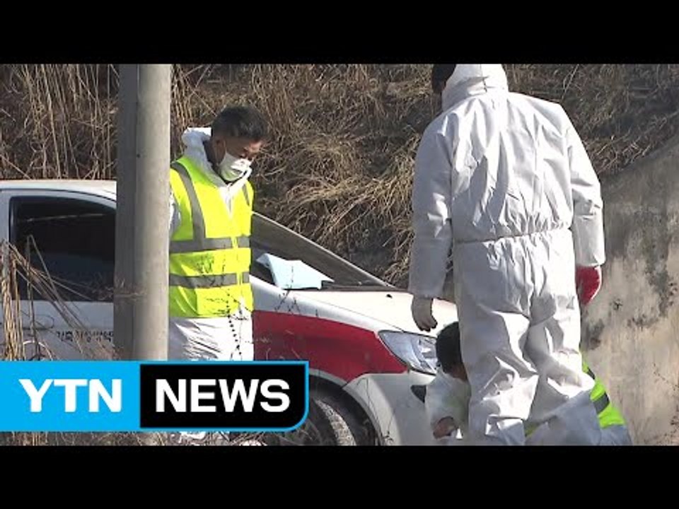 충북 보은 3번 째 구제역 O형 확진...전국 5번째 / YTN (Yes! Top N...