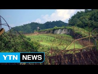 DMZ, 세계적 관광지로 재탄생 / YTN (Yes! Top News)