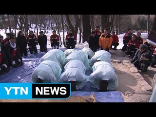 "산불 나지 않게 해 주세요" 대관령서 산신제 / YTN (Yes! Top News)