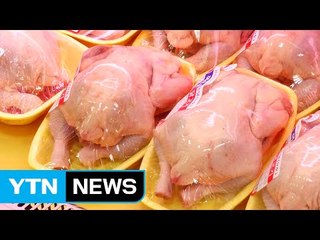 닭고기 값 오늘 인상...구제역에 추가 상승 우려 / YTN (Yes! Top News)