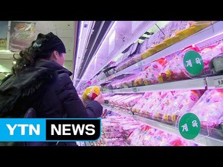 닭·소·돼지고기에 우유까지...축산물 먹거리 비상 / YTN (Yes! Top News)