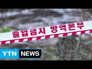 정읍서도 구제역 신고...전국 '이동 중지' 명령 / YTN (Yes! Top News)
