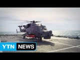 해군, 北 잠수함 킬러 '와일드캣' 실전 배치 / YTN (Yes! Top News)