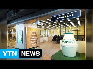 [기업] 바나나맛 우유 '옐로우 카페' 2호점 제주도에 문 연다 / YTN (Yes! Top News)