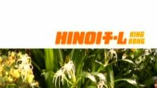 Hinoi Team King Kong