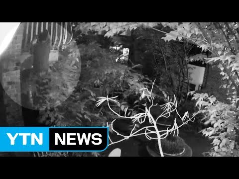 설 연휴 첫날 빈집털이범 가장 많아 ...예방법은? / YTN (Yes! Top News)
