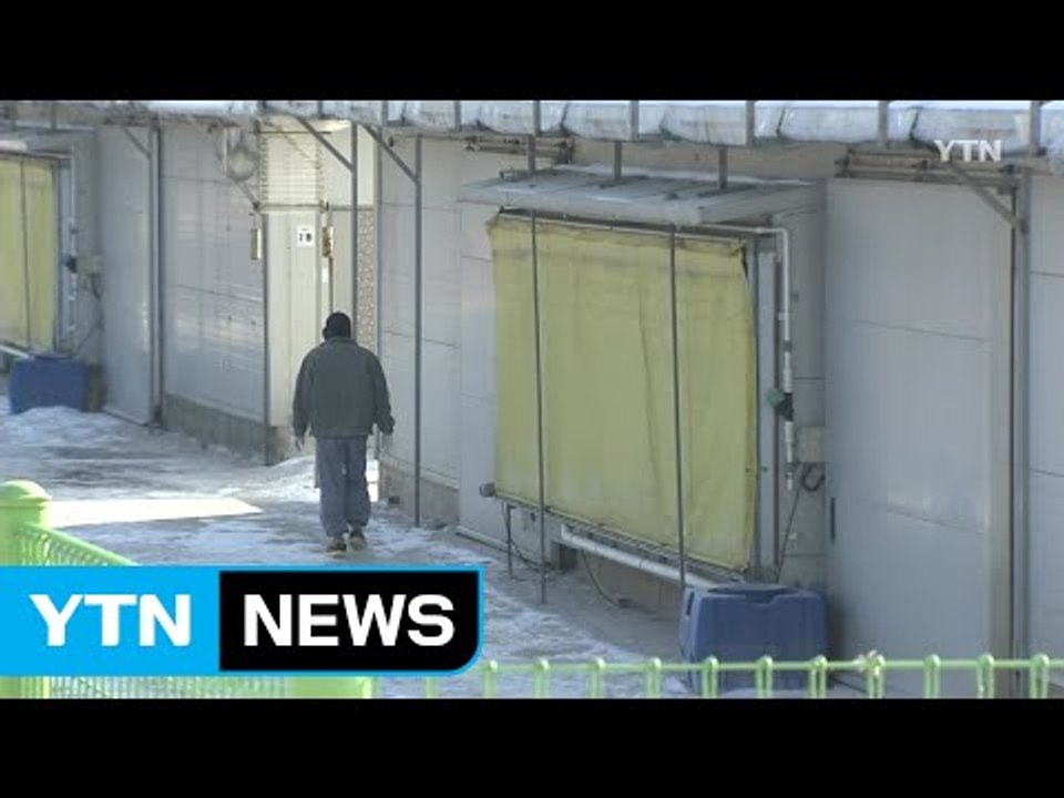 '설에 가족도 못 만나요'...AI로 힘겨운 '축산 농가' / YTN (Yes! To...