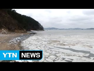 맹추위에 서산 가로림만 앞바다 얼어붙어 / YTN (Yes! Top News)
