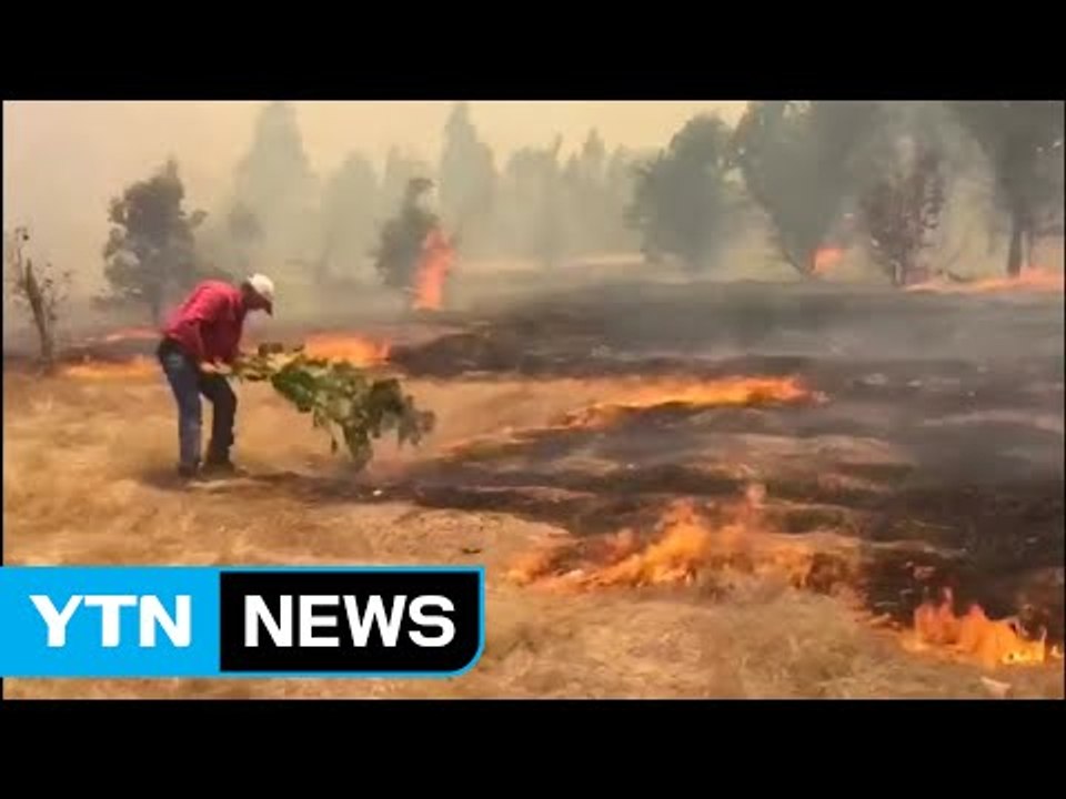 칠레 산불 확산...서울 두 배 면적 소실 / YTN (Yes! Top News)