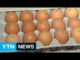 미국산 달걀 곧 풀린다...가격 상승세 주춤 / YTN (Yes! Top News)