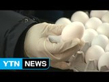 미국산 달걀 풀렸다...가격 상승세 주춤 / YTN (Yes! Top News)