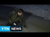 강원도 홍천 서석 -22도...올겨울 최강한파 / YTN (Yes! Top News)