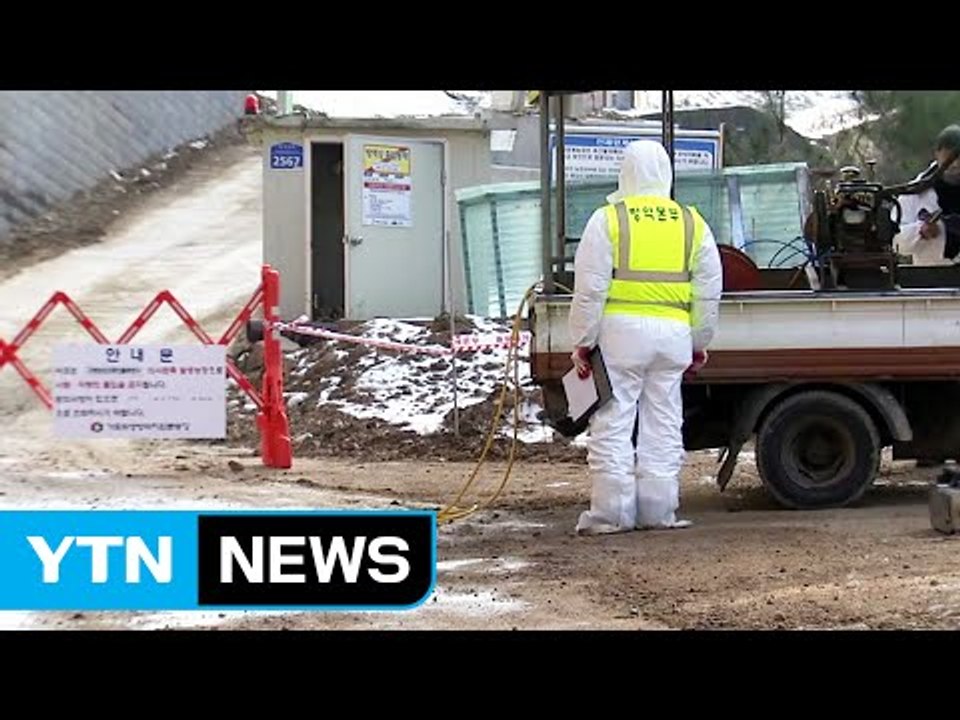 주춤하던 AI 또 발생...설 앞두고 방역 '비상' / YTN (Yes! Top News)