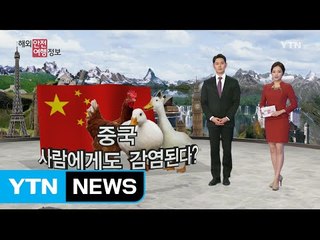 중국 AI 사람에게도 감염된다?  / YTN (Yes! Top News)