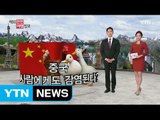 중국 AI 사람에게도 감염된다?  / YTN (Yes! Top News)