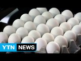 [취재N팩트] '특급 수송' 美 달걀, 이번 주말 본격 유통` / YTN (Yes! Top News)