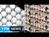 수입 달걀은 '하얀색'...영양 성분 차이 없어 / YTN (Yes! Top News)