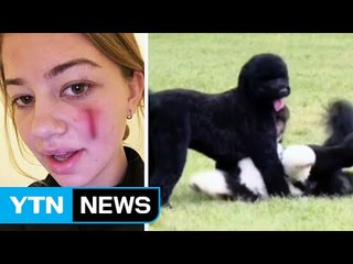 오바마 애견 '서니' 아쉬워서?... 관람객 물어 / YTN (Yes! Top News)