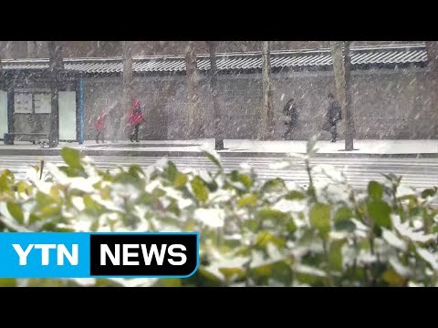 [날씨] 서울에 새해 첫 함박눈...주말 최강 한파 온다 / YTN (Yes! Top News)