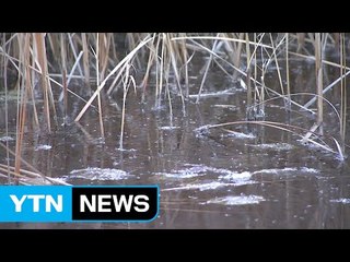 [날씨] 최강 한파 이틀 더 간다...동파 비상 / YTN (Yes! Top News)