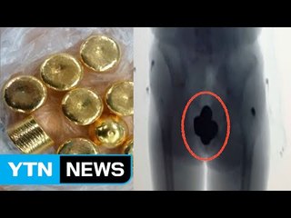 숨기는 장소도, 수법도 기상천외...진화하는 금괴 밀수 / YTN (Yes! Top News)