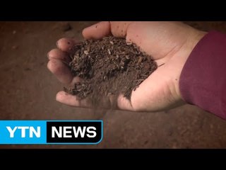 인분 재활용해 퇴비 만드는 친환경 기업 / YTN (Yes! Top News)