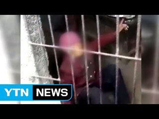 92세 노모 돼지우리에 방치한 비정한 中 부부 / YTN (Yes! Top News)