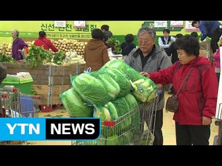 배춧값 70% 올랐는데 공식물가는 1%..."실상 반영 못 해" / YTN (Yes! Top News)