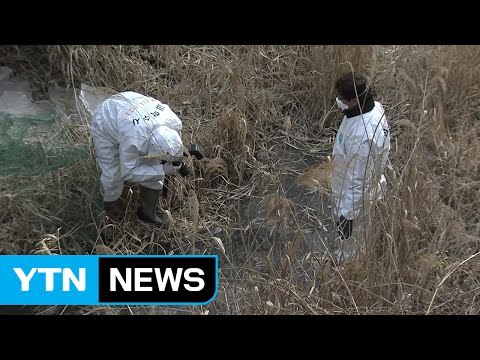 춘천 50대 여성 실종...경찰 집중 수색 / YTN (Yes! Top News)