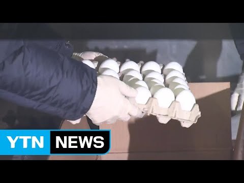 미국산 달걀 표본 도착...다음 주 본격 유통 / YTN (Yes! Top News)