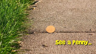 Ant Colony Video Series #1 of 6 (Move-In Day) Watch them tunnel and build!