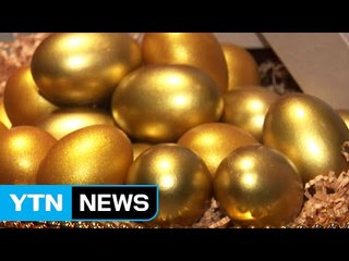 최악 AI 여파로 정유년 닭 마케팅 '잠잠' / YTN (Yes! Top News)