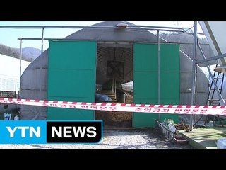 정부 "AI 늑장신고 농가도 강력 처벌" / YTN (Yes! Top News)