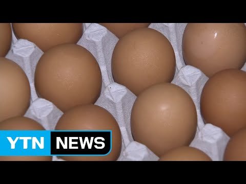 오늘부터 달걀 무관세 수입... 설 이전 공수 가능 / YTN (Yes! Top News)