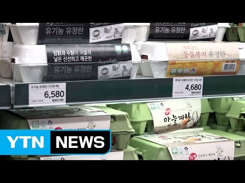 내일부터 달걀 무관세 수입... 설 이전 공수 가능 / YTN (Yes! Top News)