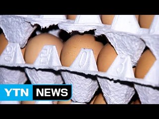 관세 '대폭' 낮춰도 출고가는 '소폭' 인하...달걀 값 떨어질까? / YTN (Yes! Top News)