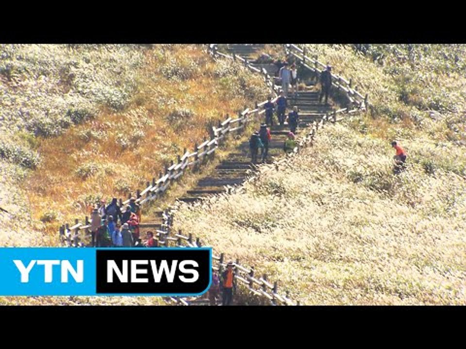 위상 추락 '경제수도' 울산, 관광에서 해법 찾는다 / YTN (Yes! Top News)