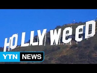 美 LA 상징 할리우드 간판이 '할리대마초'로 화제 / YTN (Yes! Top News)