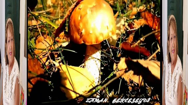 ZAMAN BEKLESEYDİ NESRİN BEŞKARDEŞ ÖKTEMER Seslendiren Klip AYNUR AVCI