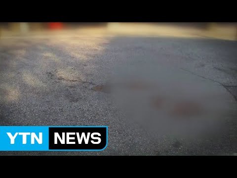 서울 주택가서 30대 여성 엽총에 맞아 부상 / YTN (Yes! Top News)