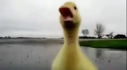 Quand t'es colere, mais que tu mesures moins d'1,5M