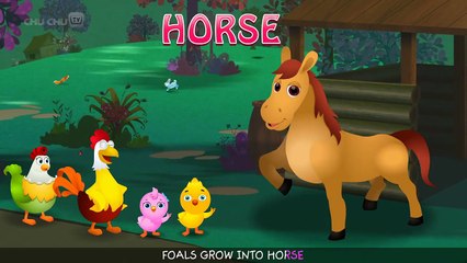 Grow Grow Grow (SINGLE) _ Original Educational Learning Songs & Nursery Rhymes for Kids _ ChuChu TV-IK115BQKc64