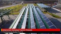 Adana'dan Dünyaya Yazılım İhracatı