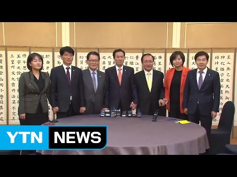 '최순실 특검' 추천 D-1...야권 막바지 고심 / YTN (Yes! Top News)