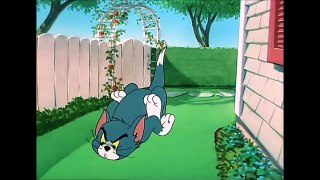 Tom And Jerry English Episodes -  Slicked-up Pup  - Cartoons For Kids Tv-F-yq1j_3apk
