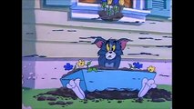 Tom And Jerry English Episodes - Safety Second   - Cartoons For Kids Tv-WEej3Ly-Cjs