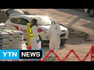 전국 최대 닭 산지 포천까지 AI 확산...농민 불안 / YTN (Yes! Top News)